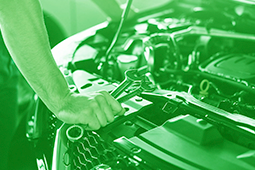 Banner Verde Claro